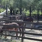 Κατάλυμα σε φάρμα Honigtal Farmland