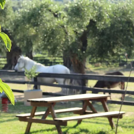 Honigtal Farmland * Agios Georgios Pagon