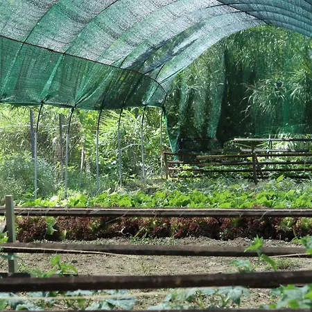 Honigtal Farmland Farm stay