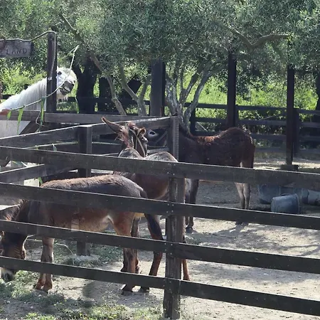 Alojamento de Turismo Rural Honigtal Farmland