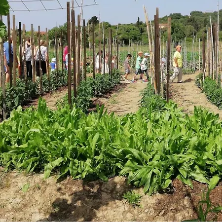 Honigtal Farmland * 圣佐治欧斯帕贡