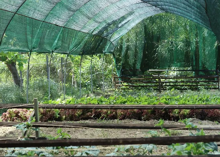 Honigtal Farmland مزرعة للإقامة